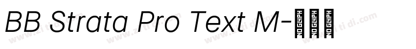 BB Strata Pro Text M字体转换
